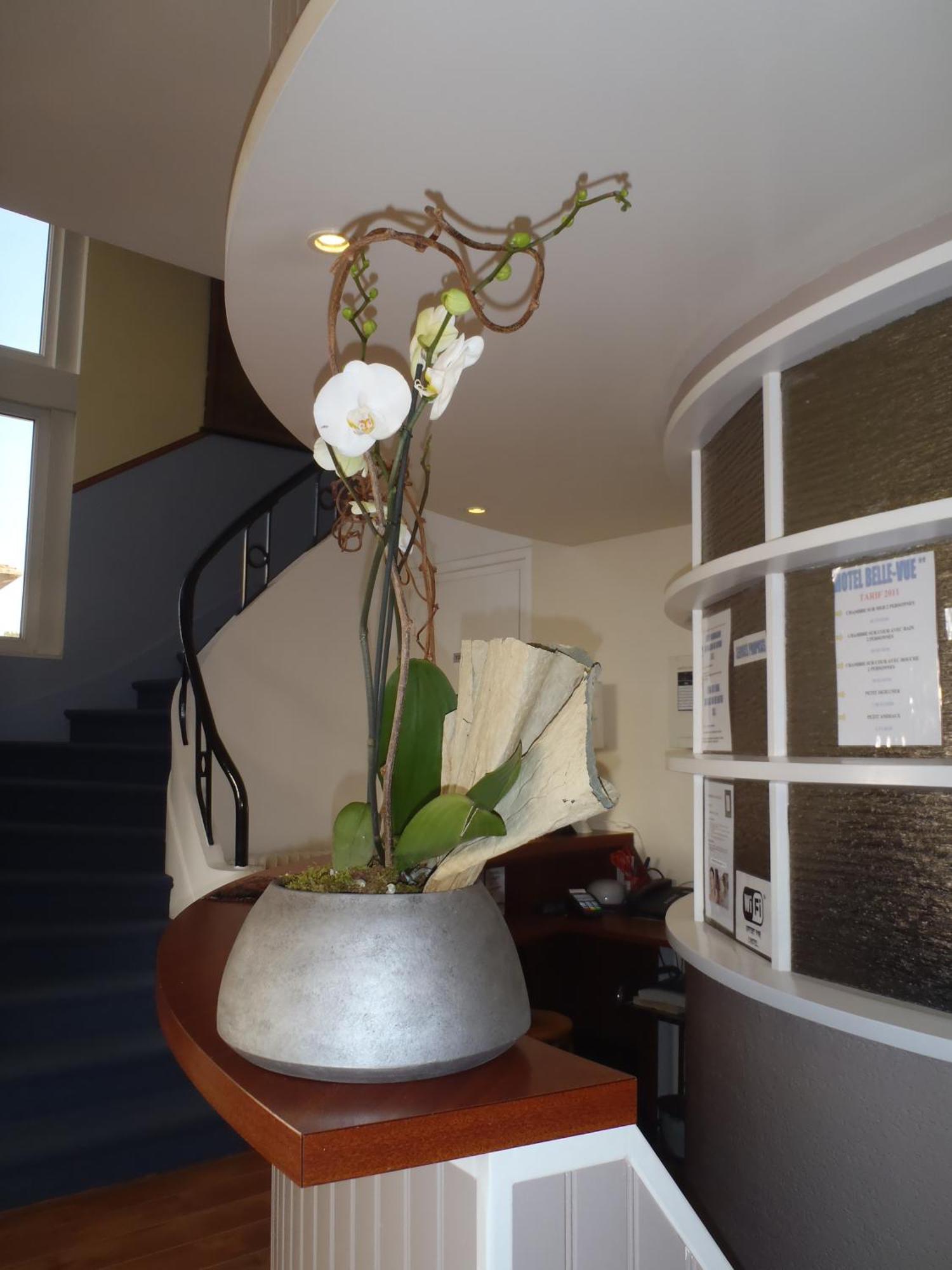 Hotel Belle Vue רויאן מראה חיצוני תמונה